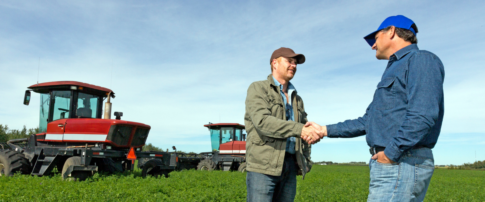 local banker shaking hands with a farmer in an alfalfa field with windrows behind them