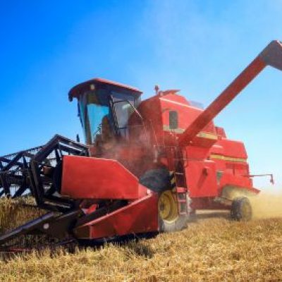 red combine harvesting wheat on a sunny day