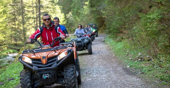 7 ATVs driving down a forest trail
