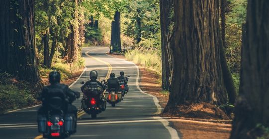group of 4 motorcycles driving down a wooded country highway